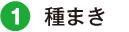 種まき
