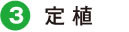 定 植