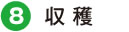 収穫